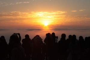 IMG_4671